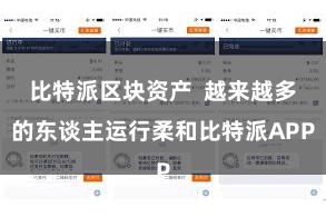 比特派区块资产 越来越多的东谈主运行柔和比特派APP