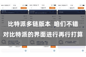 比特派多链版本 咱们不错对比特派的界面进行再行打算