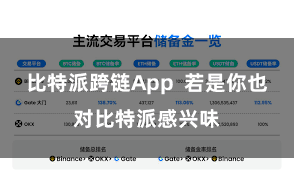 比特派跨链App  若是你也对比特派感兴味