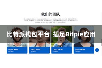 比特派钱包平台  插足Bitpie应用