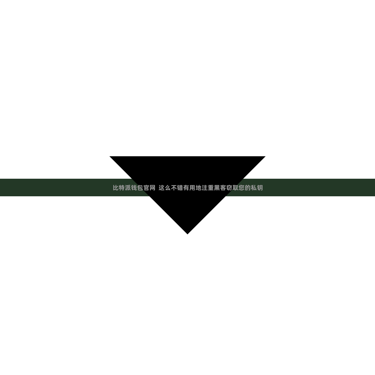 比特派钱包官网 这么不错有用地注重黑客窃取您的私钥