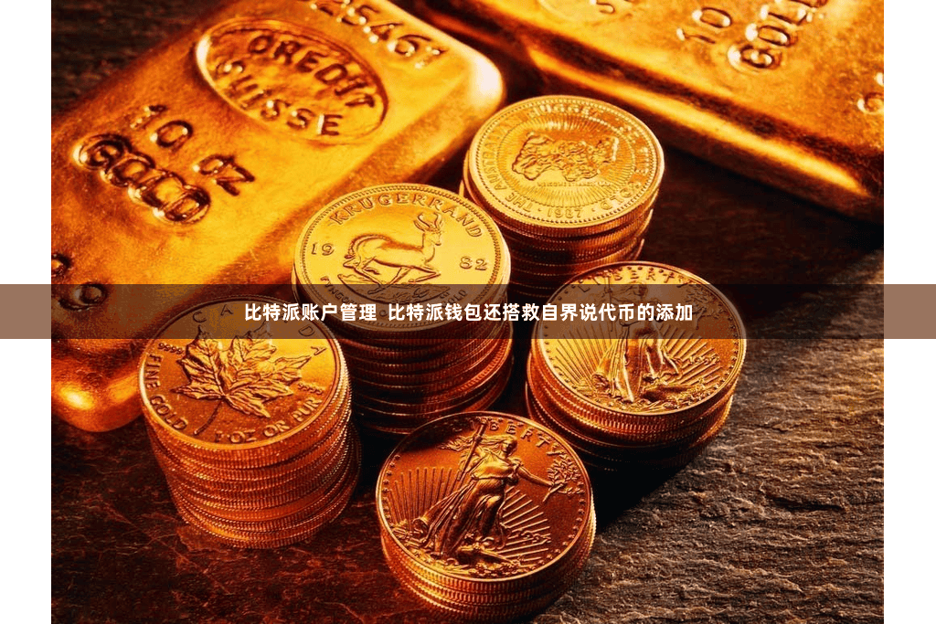 比特派账户管理  比特派钱包还搭救自界说代币的添加