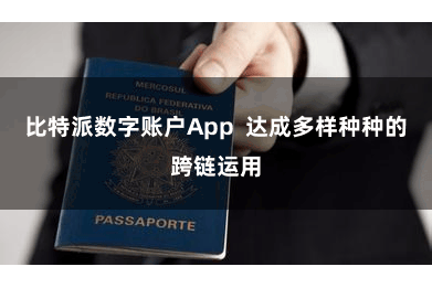 比特派数字账户App  达成多样种种的跨链运用