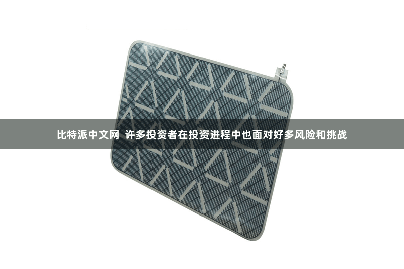 比特派中文网  许多投资者在投资进程中也面对好多风险和挑战