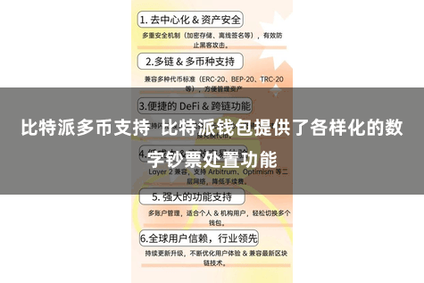 比特派多币支持  比特派钱包提供了各样化的数字钞票处置功能